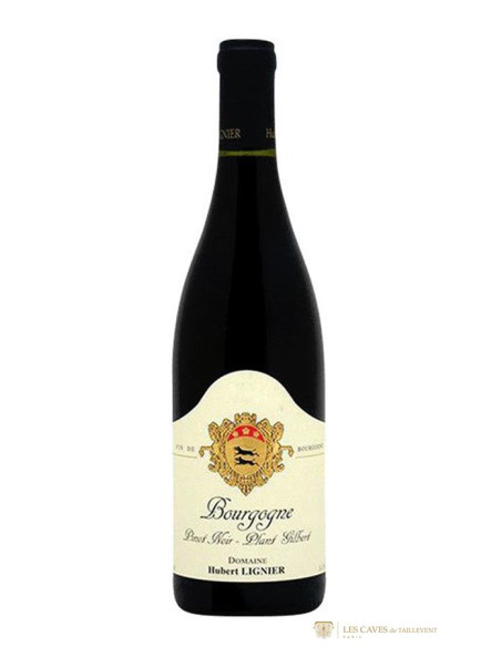 Bourgogne, Hubert Lignier, Plan Gilbert, 2016