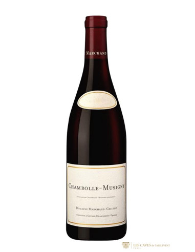 Bourgogne, Chambolle-Musigny, Domaine Marchand-Grillot, 2014
