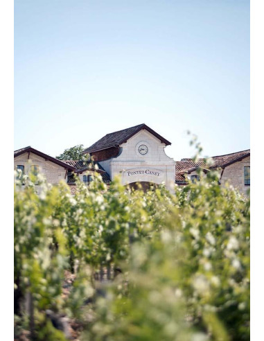 Bordeaux, Pauillac – 5ème Grand Cru Classé de 1855, Château Pontet-Canet, 2011