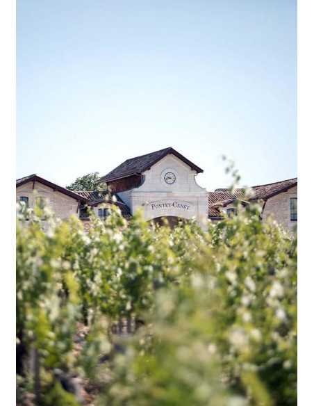 Bordeaux, Pauillac – 5ème Grand Cru Classé de 1855, Château Pontet-Canet, 2011