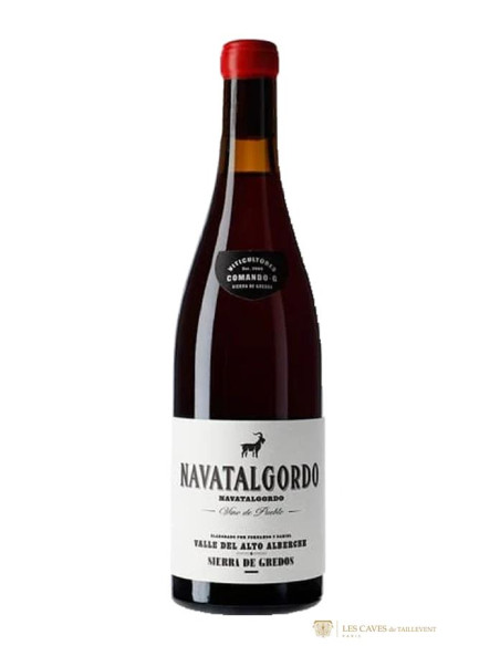 Espagne, Vinos de Madrid, Comando G, Navatalgordo, 2022