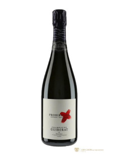 Champagne, Guiborat, Prohibition, N.M