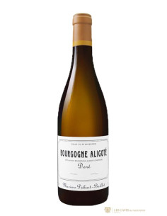Bourgogne, Bourgogne Aligoté, Domaine Dubuet-Boillot, Doré, 2023