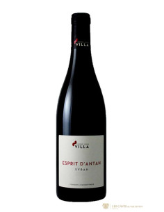 Vallée du Rhône, IGP Collines Rhodaniennes, Pierre-Jean Villa, Esprit d'Antan, 2017