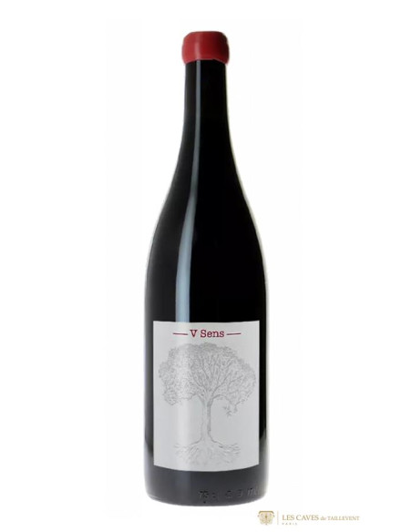 Vallée de la Loire, Vin de France, Jérôme Bretaudeau, V Sens, 2019