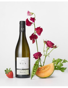 Bourgogne, Mercurey, Domaine Mia, Les Rochelles, 2022 2