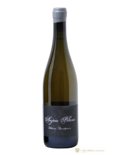 Thibaud Boudignon Anjou 2022 - Les Caves de Taillevent