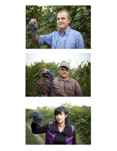 Italie, Langhe Nebbiolo, Moccagatta 2018 2