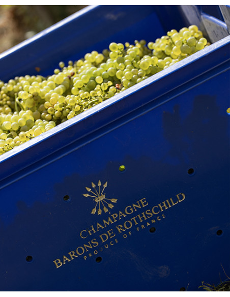 Champagne, Barons de Rothschild, Brut