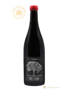 Vallée de la Loire, Vin de France, Jérôme Bretaudeau, Ornaté 2021