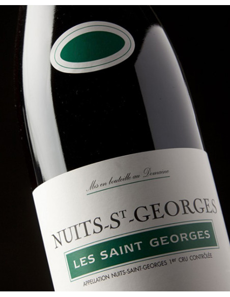 Bourgogne, Nuits-Saint-Georges 1er Cru, Domaine Henri Gouges, Les Saint Georges, 2010