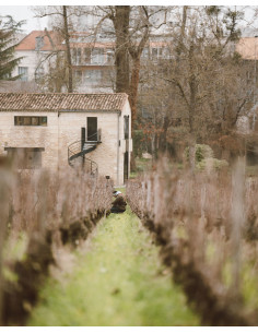 Pessac-Léognan, Château Les Carmes Haut-Brion, 2018 2