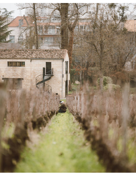 Pessac-Léognan, Château Les Carmes Haut-Brion, 2018