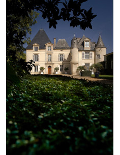 Pessac-Léognan, Château Haut-Brion, 1999 2