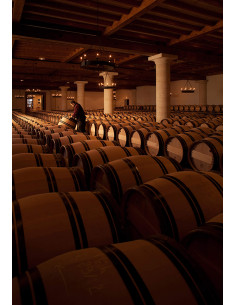 Pessac-Léognan, Château Haut-Brion, 2001 2