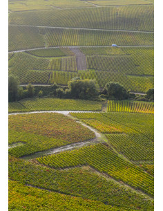 Henriot Brut Souverain N.M. - Les Caves de Taillevent 2