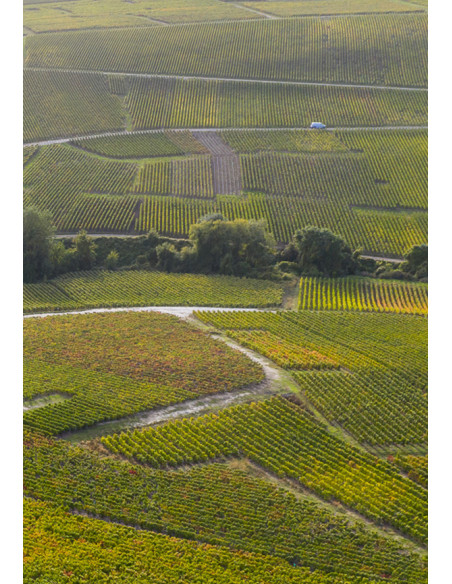 Henriot Brut Souverain N.M. - Les Caves de Taillevent