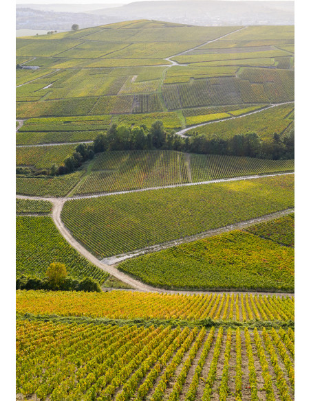 Henriot Blanc de Blancs - Les Caves de Taillevent
