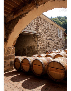 Vallée du Rhône, Crozes-Hermitage, Domaine Jean-Baptiste Souillard, 2018 2
