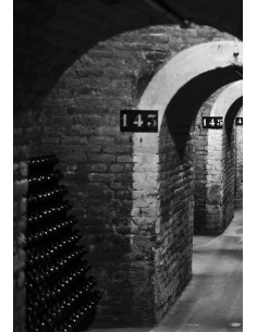 Thiénot Stanislas B. de Blancs 2008 - Les Caves de Taillevent 2