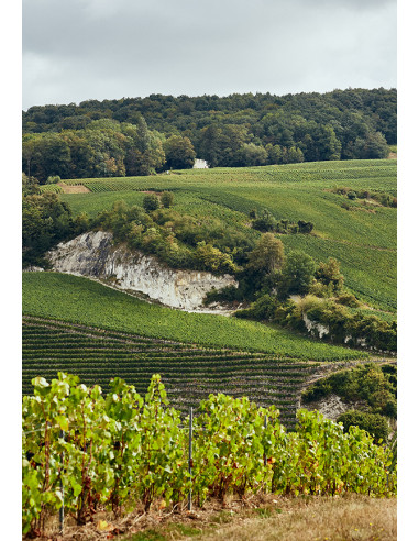 Charles Heidsieck Blanc des Millénaires 2014 - Taillevent
