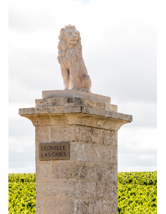 Saint-Julien, Château Léoville Las Cases, 2004 2