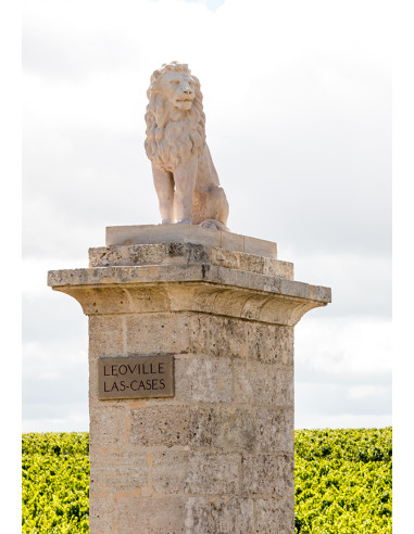Château Léoville Las Cases, 2007, Les Caves de Taillevent