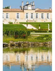 Saint-Julien, Château Léoville Las Cases, 2008