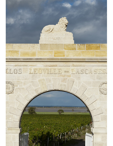 Saint-Julien, Château Léoville Las Cases, 2011