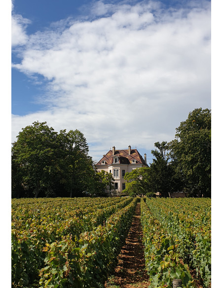Domaine des Comtes Lafon Meursault 2020 - Les Caves de Taillevent