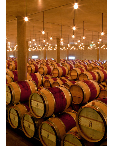 Pauillac, Château Latour, 2000, Magnum, Caves de Taillevent