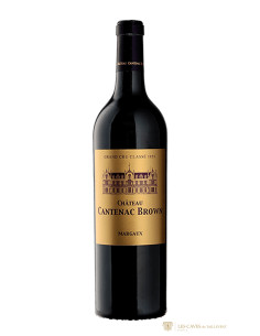 Château Cantenac Brown 2017 - Les Caves de Taillevent