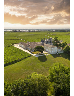 Bordeaux, Pauillac 5ème Grand Cru Classé, Château Grand-Puy-Lacoste, 2009 2