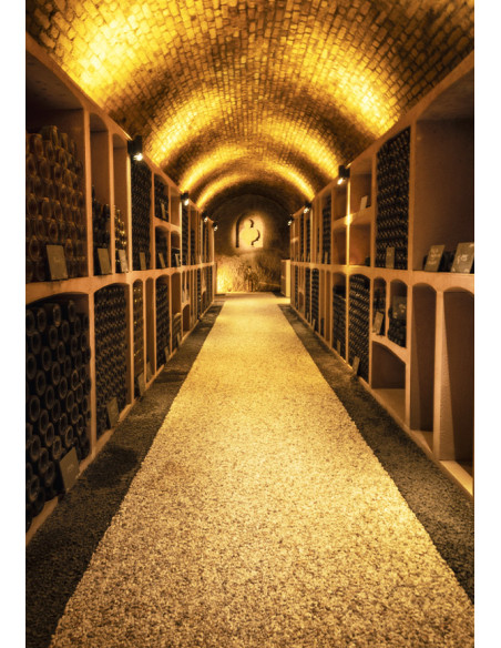 Champagne, Gosset, Grand Millésime 2015