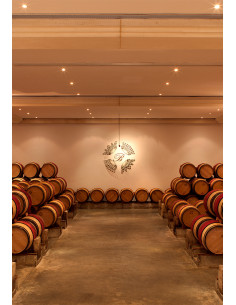 Saint-Julien, Château Branaire-Ducru, 2013