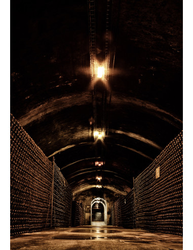Bollinger PN AYC 18 N.M. - Les Caves de Taillevent