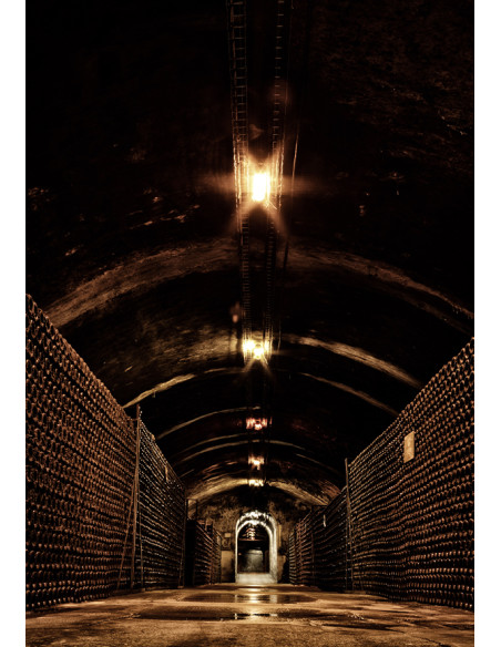 Bollinger PN AYC 18 N.M. - Les Caves de Taillevent