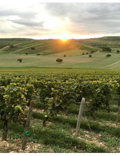 Vallée de la Loire, Sancerre, Domaine Delaporte, Les Monts Damnés, 2021 2