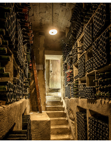 Bordeaux, Saint-Emilion, Château Tertre Roteboeuf, 2011