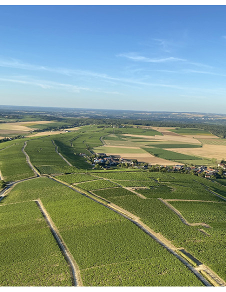 Vallée de la Loire, Sancerre, Domaine Delaporte, Silex, 2021
