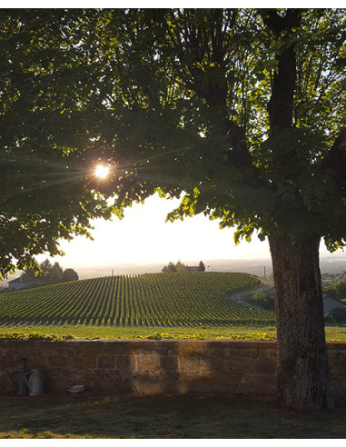Domaine Sérol Eclat de Granite 2022 - Les Caves de Taillevent