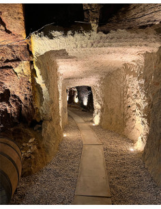 Domaine des Closiers Trezellières 2019 - Les Caves de Taillevent