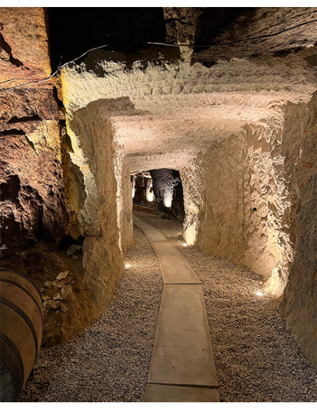 Domaine des Closiers Trezellières 2019 - Les Caves de Taillevent