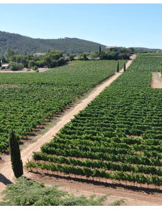 Côtes de Provence, Clos Cibonne, Tentations, 2023 2