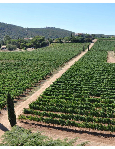 Clos Cibonne, Tibouren Tradition, 2023, Caves de Taillevent