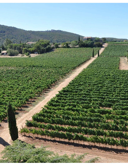 Clos Cibonne, Tibouren Tradition, 2023, Caves de Taillevent