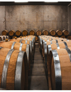 Famille Paquet Pinot Noir 2023 - Les Caves de Taillevent