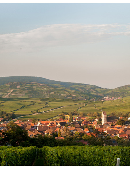 Alsace Muscat, Valentin Zusslin, Cuvée Marie, 2019, Les Caves de Taillevent