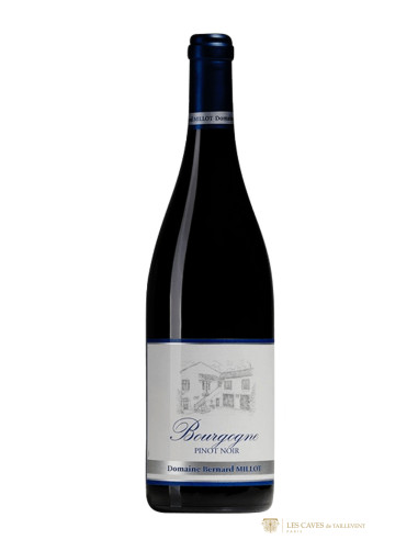 Bernard-Millot Pinot Noir 2020 - Les Caves de Taillevent