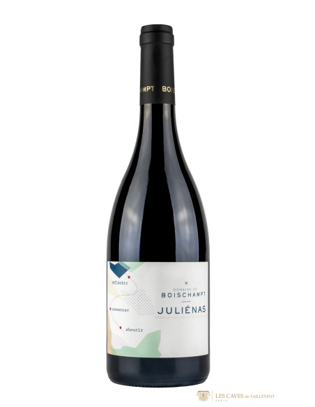 Domaine de Boischampt Juliénas 2022 - Les Caves de Taillevent
